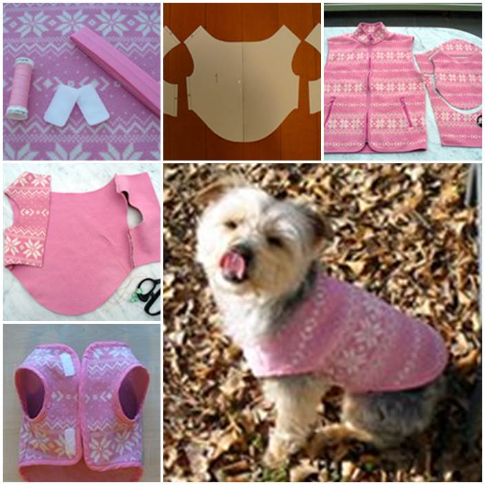 DIY Dog Sweater from a Used Sweater Sleeve | LovePetsDIY.com