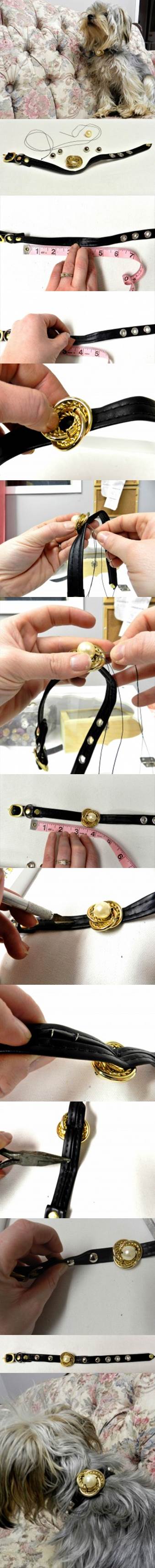 DIY Holiday Pet Collar 2