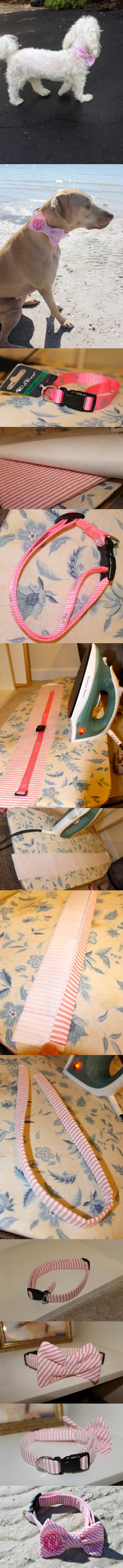 DIY Adorable Dog Collar 2
