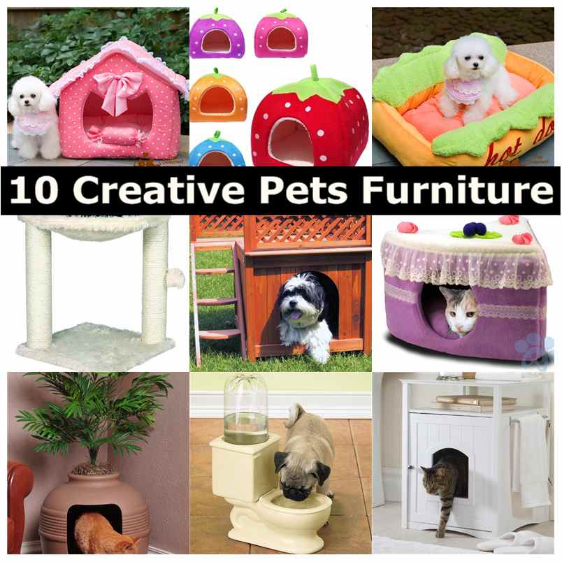 DIY instructions and ideas for your pets