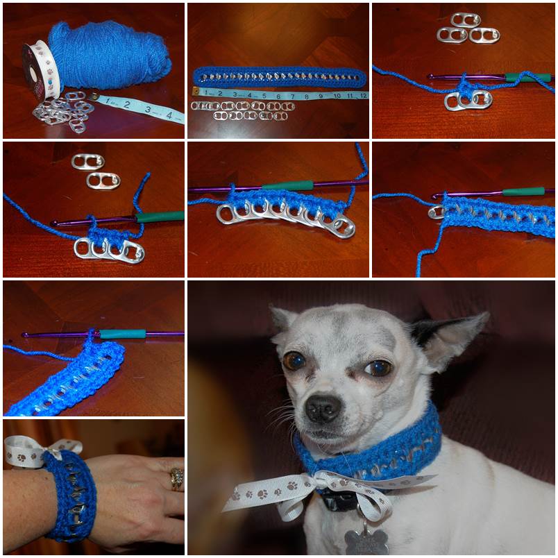 Who Wqera A Dog Collar Who Wqera A Dog Collar